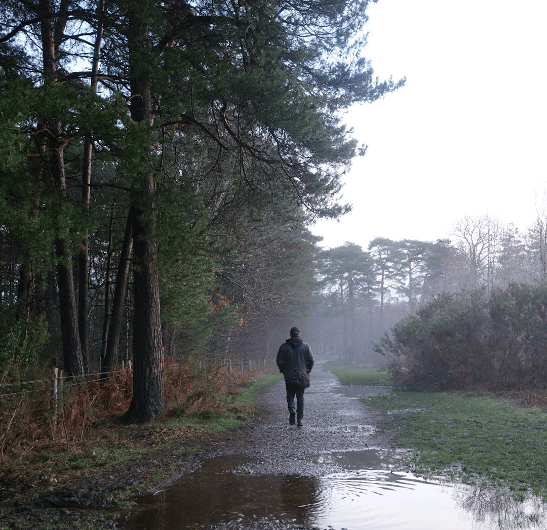 Identidad y desarrollo personal